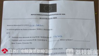 代辦簽證延誤致三童滯留國外 國內(nèi)旅游業(yè)務(wù)之責誰當承擔？